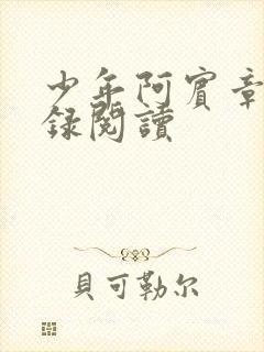 少年阿宾章节目录阅读