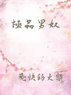 极品男奴