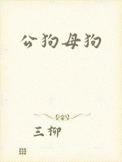 公狗母狗