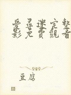 爱寻迷完整版电影免费观看
