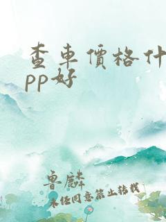 查车价格什么app好