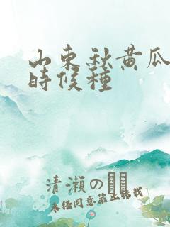 山东秋黄瓜什么时候种