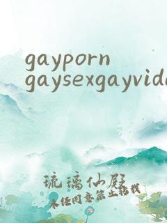 gayporngaysexgayvideos