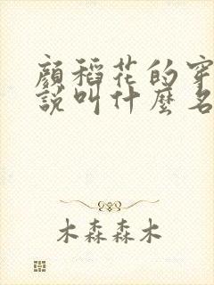 颜稻花的穿越小说叫什么名字