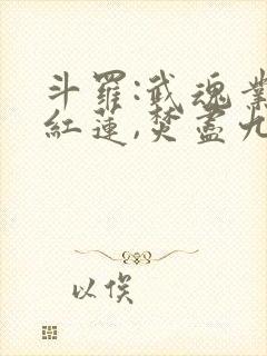 斗罗:武魂业火红莲,焚尽九天