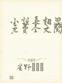 小说长相思桐华免费全文阅读一