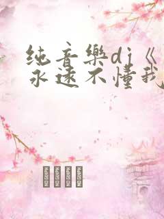 纯音乐dj《你永远不懂我》
