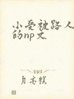 小受被路人强迫的np文