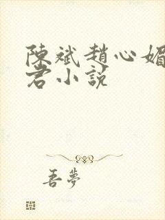 陈斌赵心媚高婉君小说