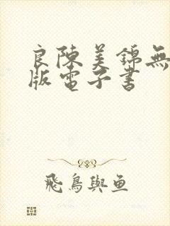 良陈美锦无删减版电子书