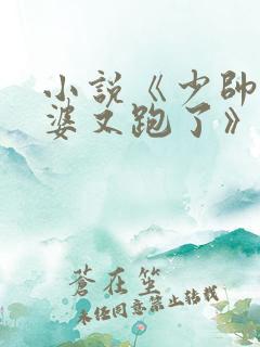 小说《少帅你老婆又跑了》