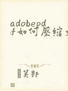 adobepdf如何压缩文件大小