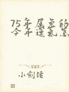 75年属兔的人今年运气怎么样
