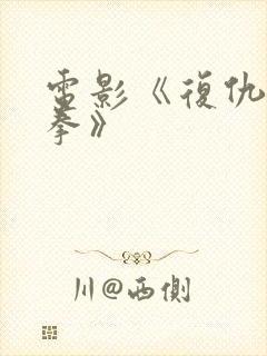 电影《复仇的铁拳》