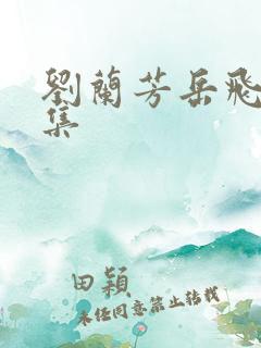 刘兰芳岳飞传全集