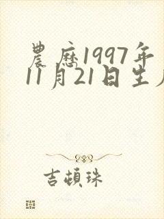 农历1997年11月21日生辰八字