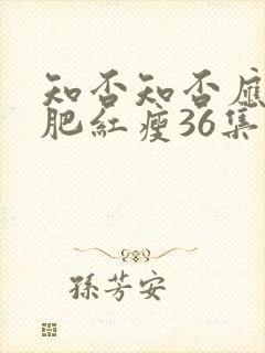 知否知否应是绿肥红瘦36集