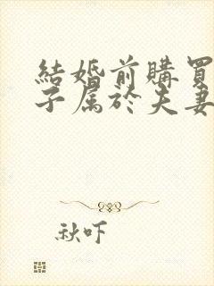 结婚前购买的房子属于夫妻共同财产吗