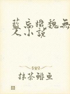 蓝忘机魏无羡同人小说