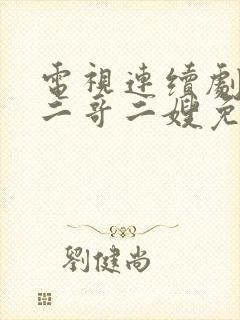 电视连续剧我的二哥二嫂免费的