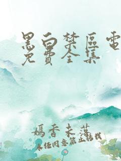 黑白禁区电视剧免费全集