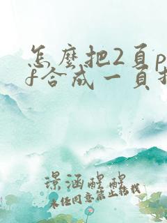怎么把2页pdf合成一页打印