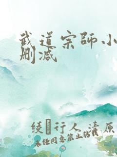武道宗师小说无删减