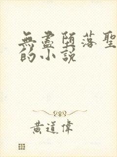 无尽堕落圣采儿的小说