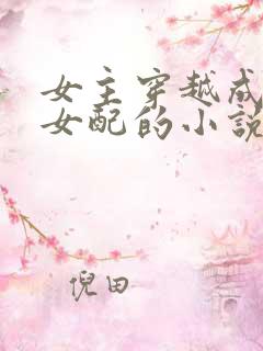 女主穿越成恶毒女配的小说