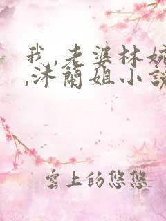 我,老婆林婉清,沐兰姐小说