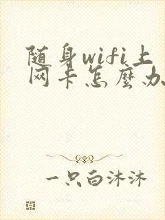 随身wifi上网卡怎么办