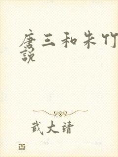 唐三和朱竹清小说