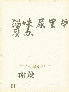 猫咪尿里带血怎么办