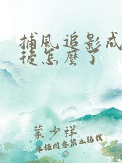 捕风追影成龙最后怎么了