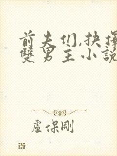 前夫们,抉择吧双男主小说