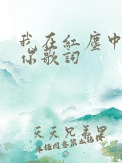 我在红尘中遇见你歌词