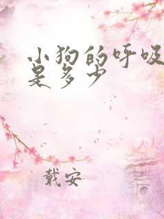 小狗的呼吸频率是多少