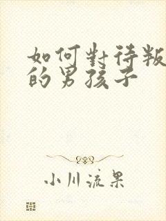 如何对待叛逆期的男孩子