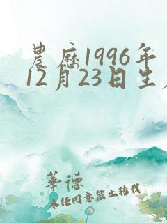 农历1996年12月23日生辰八字