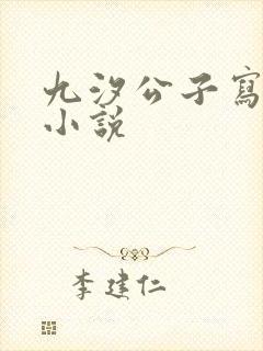 九汐公子写过的小说