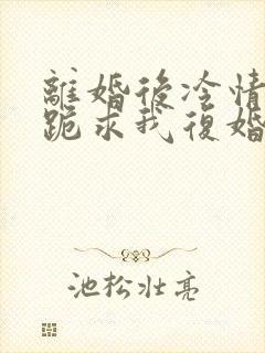 离婚后冷情前夫跪求我复婚商赫全文小说