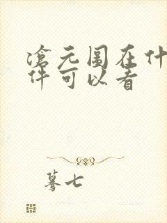 沧元图在什么软件可以看