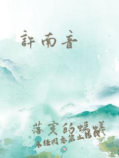 许南音
