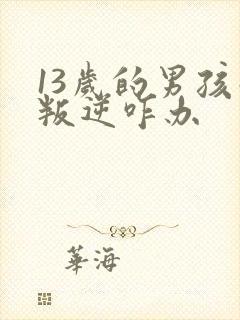 13岁的男孩子叛逆咋办