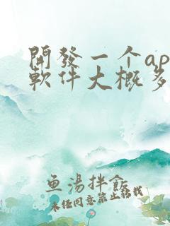 开发一个app软件大概多少钱