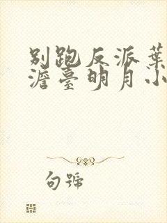 别跑反派叶玄,澹台明月小说