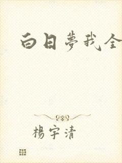 白日梦我全部