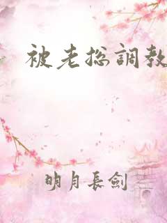 被老总调教的
