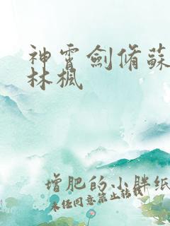 神霄剑修苏慕白林枫