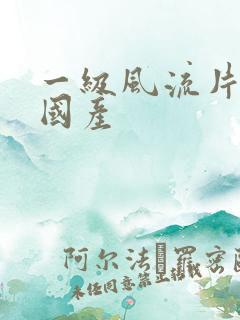 一级风流片a级国产